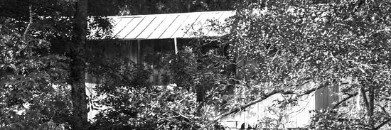 Wagner Shells - 12 Gauge Shotgun Shells - Turkeyshoots, Hunting & More